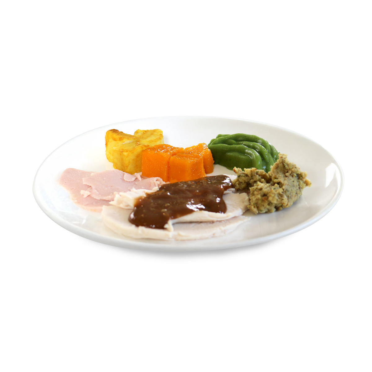 Shape It Traditional Christmas Roast Lunch IDDSI 4 Pureed, including ham, turkey, potatoes, green beans and pumpkin.